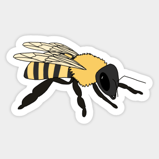 Honeybee Sticker